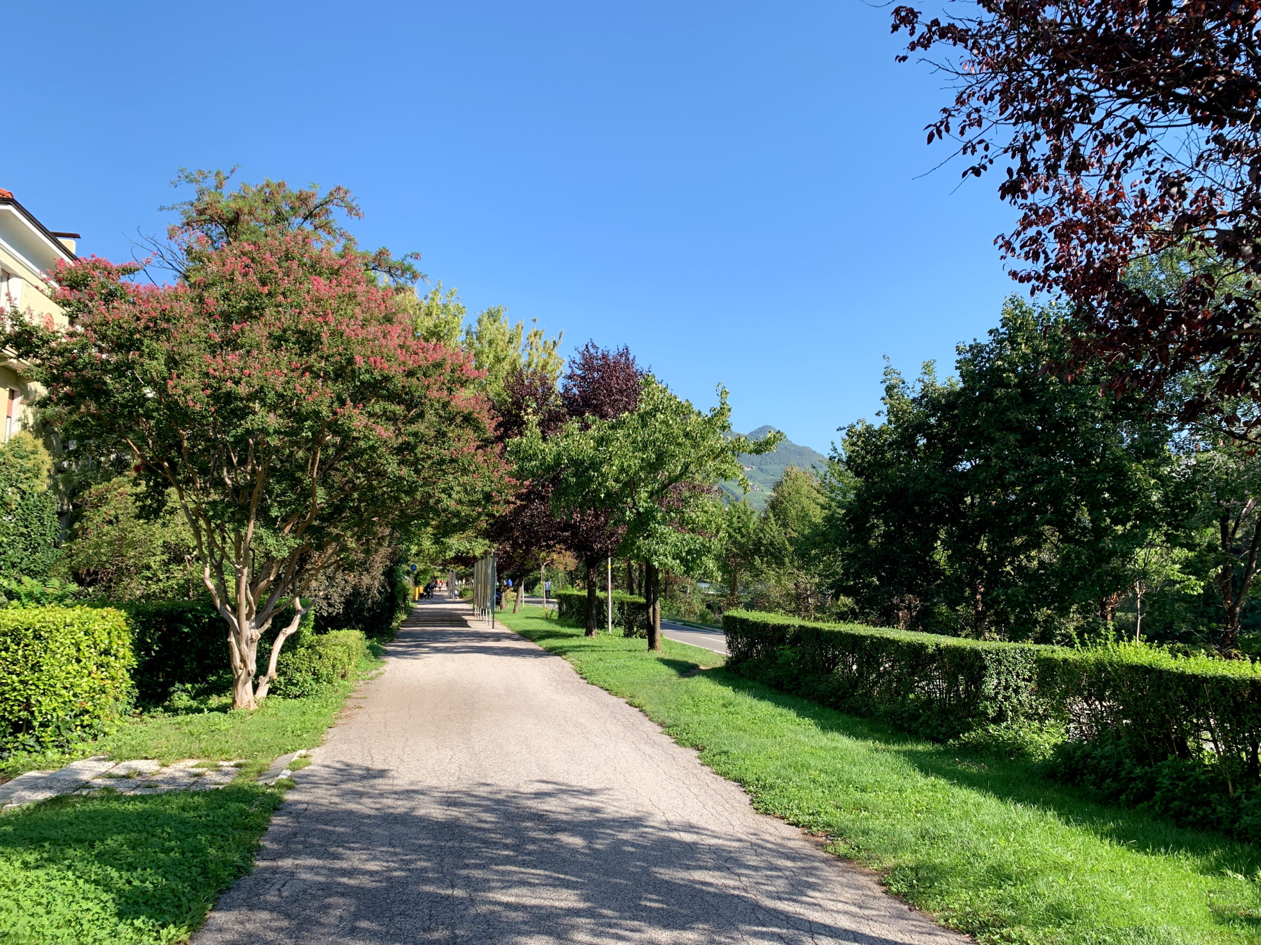 Featured image for “Life is Würthifull: passeggiando per Bolzano, ai prati del Talvera con Verena”